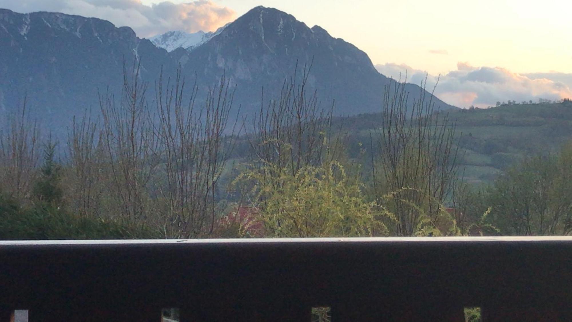 Pension Poiana Marului Ranch Bagian luar foto