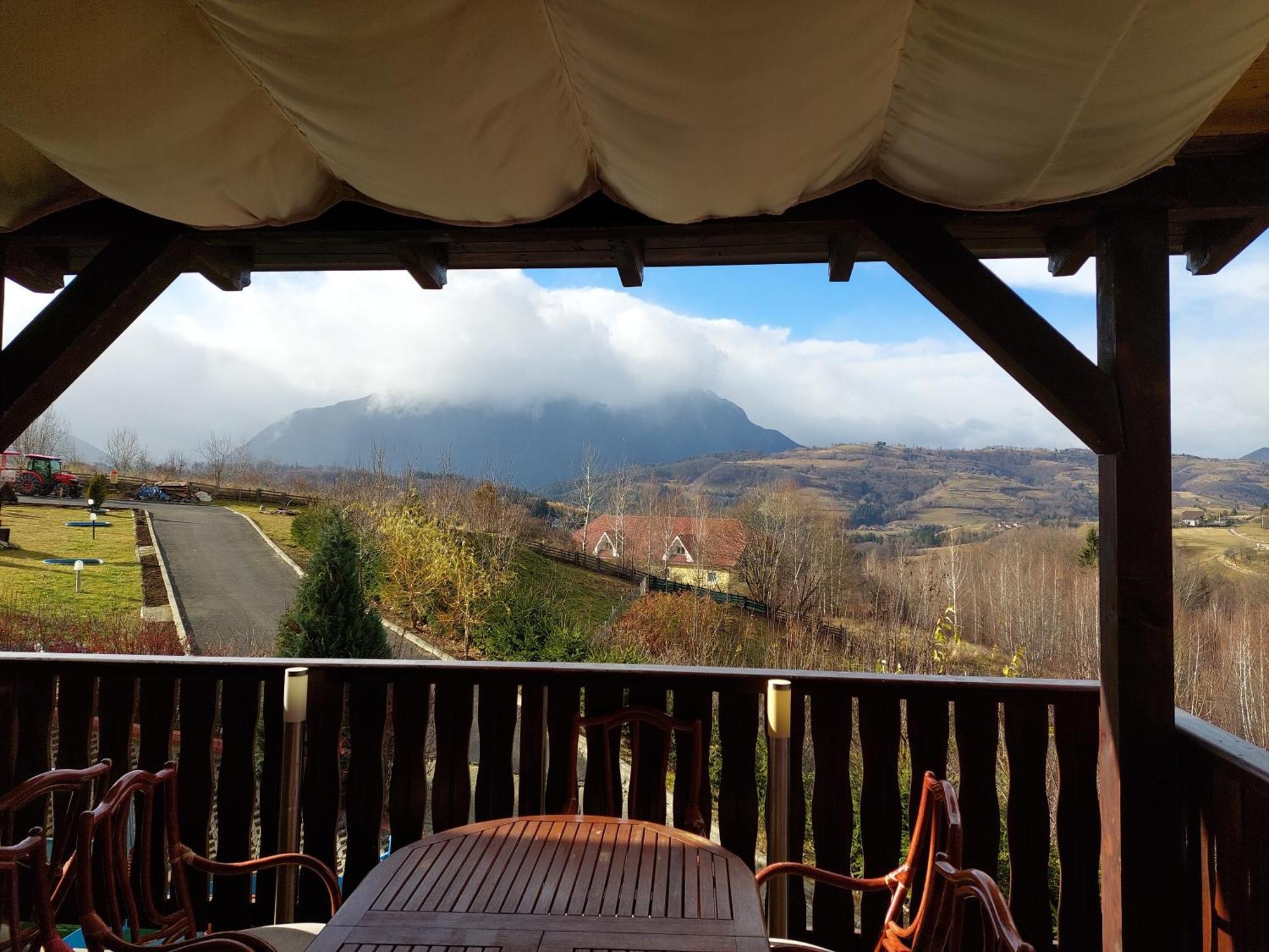 Pension Poiana Marului Ranch Bagian luar foto